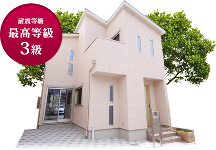 model-house-25 model-house-25
